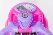 Käepidemega beebitõukur ja kummikummid HZ614R PINK цена и информация | Imikute mänguasjad | kaup24.ee
