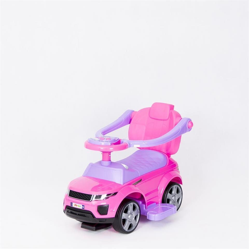 Käepidemega beebitõukur ja kummikummid HZ614R PINK цена и информация | Imikute mänguasjad | kaup24.ee