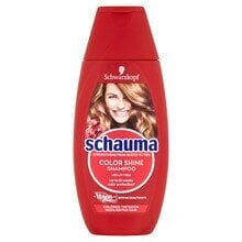 Shampoo Color Shine (Šampoon) 400 ml цена и информация | Шампуни | kaup24.ee