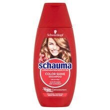 Shampoo Color Shine (Šampoon) 400 ml цена и информация | Šampoonid | kaup24.ee
