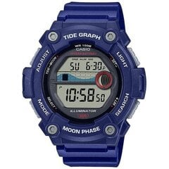 Meeste käekell Casio WS-1300H-2AVEF цена и информация | Мужские часы | kaup24.ee