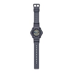 Наручные часы Casio WS-1300H-8AVEF цена и информация | Мужские часы | kaup24.ee