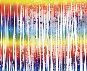 Riputatav dekoratsioon, fooliumist kardin 100 х 200 cm (värv: Rainbow) SH-KTEC hind ja info | Peokaunistused | kaup24.ee