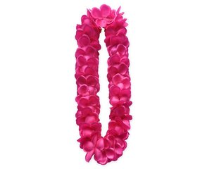 Hawaii kaelaehe, värv: pink (DJ-NHSR) 6274 hind ja info | Karnevali kostüümid | kaup24.ee