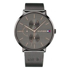 Tommy Hilfiger naiste käekell 1781945 цена и информация | Женские часы | kaup24.ee