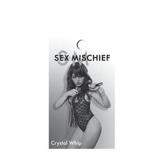 Crystal Whip hind ja info | BDSM ja fetish | kaup24.ee