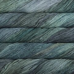 Пряжа Malabrigo Sock, цвет Aguas, 100 г, 402 м цена и информация | Принадлежности для вязания | kaup24.ee