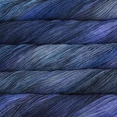 Пряжа Malabrigo Sock, цвет Azules, 100 г, 402 м цена и информация | Принадлежности для вязания | kaup24.ee