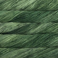 Пряжа Malabrigo Worsted, цвет Saphire Green, 100 г, 192 м цена и информация | Принадлежности для вязания | kaup24.ee