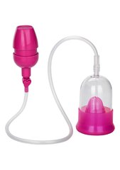 Vagiinapump Intimate Pump, roosa цена и информация | Помпы для пениса и вагины | kaup24.ee