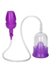 Вагинальный насос Intimate Pump, фиолетовый цена и информация | Помпы для пениса и вагины | kaup24.ee