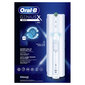 Oral-B 4210201396987 цена и информация | Elektrilised hambaharjad | kaup24.ee