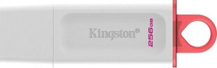 Kingston DataTraveler 256GB USB 3.0 цена и информация | USB накопители | kaup24.ee