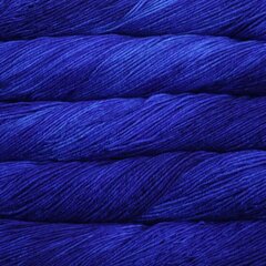 Пряжа Malabrigo Arroyo, цвет Matisse Blue, 100 г, 306 м цена и информация | Принадлежности для вязания | kaup24.ee