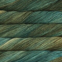 Пряжа Malabrigo Sock, цвет Fresco y Seco, 100g, 402m цена и информация | Принадлежности для вязания | kaup24.ee