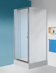 Душевая стена Sanplast TX SS/TX5b 100s, профиль- белый, декорированное стекло Сora цена и информация | Душевые двери и стены | kaup24.ee