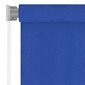vidaXL väliruloo, 100 x 140 cm, sinine, HDPE hind ja info | Voldikkardinad | kaup24.ee