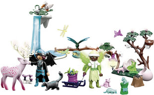 71029 PLAYMOBIL® Adventures of Ayuma, advendikalender hind ja info | Klotsid ja konstruktorid | kaup24.ee