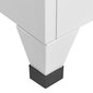 vidaXL lukustatav hoiukapp, helehall, 38 x 40 x 180 cm, teras hind ja info | Elutoa väikesed kapid | kaup24.ee