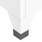 vidaXL lukustatav hoiukapp, valge, 38 x 45 x 180 cm, teras hind ja info | Elutoa väikesed kapid | kaup24.ee
