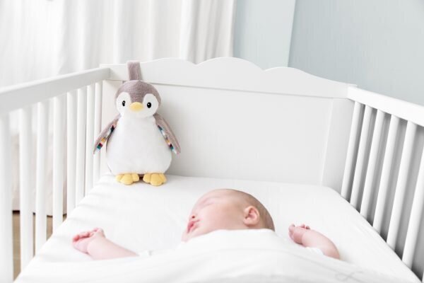 Pingviin Phoebe hind ja info | Imikute mänguasjad | kaup24.ee