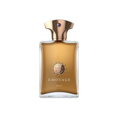 Парфюмированная вода Amouage Dia Pour Homme EDP, 100 мл цена и информация | Мужские духи | kaup24.ee