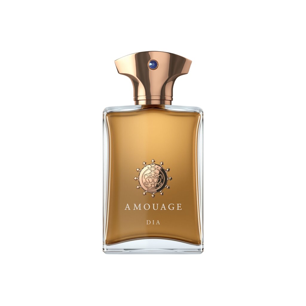 Amouage Dia pour Homme EDP meestele 100 ml цена и информация | Meeste parfüümid | kaup24.ee