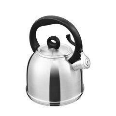 Чайник Berghoff Camil 1,9 л цена и информация | Чайники, кофейники | kaup24.ee