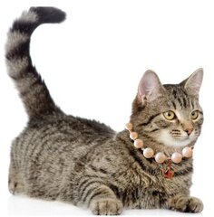 Ожерелье из бисера для кошек и собак без застежки цена и информация | Поводки и ошейники для кошек | kaup24.ee