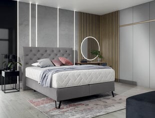 Кровать NORE Cortina, 140x200 см, серый цвет цена и информация | Кровати | kaup24.ee
