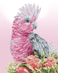 Алмазная мозаика Pink Galah Banksia, 41x51 цена и информация | Алмазная мозаика | kaup24.ee