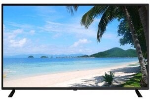 LCD Monitor|DAHUA|LM55-F400|55"|3840x2160|16:9|60Hz|9.5 ms|Speakers|DHI-LM55-F400 hind ja info | Monitorid | kaup24.ee