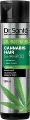 Dr. Sante kanepi šampoon 250ml цена и информация | Шампуни | kaup24.ee