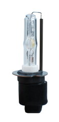 Лампа Xenon M-Tech Basic H3 5000K цена и информация | Автомобильные лампочки | kaup24.ee