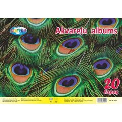 Акварельный альбом А4 20лист. цена и информация | Тетради и бумажные товары | kaup24.ee