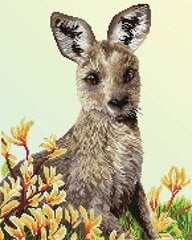 Teemantmosaiik Kangaroo & Kangaroo Paw Flower, 41 x 51 cm hind ja info | Teemantmaalid, teemanttikandid | kaup24.ee