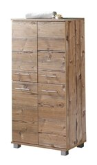 Высокий шкаф в ванную Isola, светло-коричневый цена и информация | Шкафчики для ванной | kaup24.ee