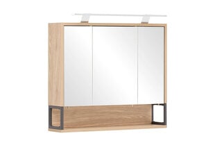 Зеркальный шкаф с LED-светильником Limone, светлый дуб цена и информация | Шкафчики для ванной | kaup24.ee