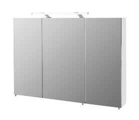 Зеркальный шкаф с LED-светильником Dorina, белый глянцевый цена и информация | Шкафчики для ванной | kaup24.ee