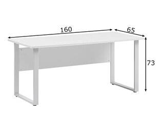 Рабочий стол Minsk, светло-серый цена и информация | Компьютерные, письменные столы | kaup24.ee