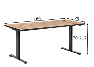Электрически регулируемый рабочий стол Oslo, дуб / чёрный цена и информация | Компьютерные, письменные столы | kaup24.ee