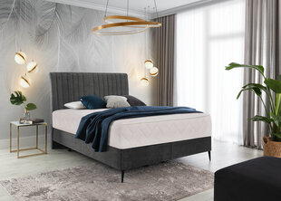 Voodi NORE Blanca, 160x200 cm, tumehall hind ja info | Voodid | kaup24.ee