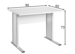 Рабочий стол Vilnius, светло-серый цена и информация | Компьютерные, письменные столы | kaup24.ee