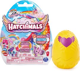 Hatchimals Family Surprise - Little kid or twin babies - с 1 маленькой игрушкой, 60+ to collect цена и информация | Игрушки для девочек | kaup24.ee