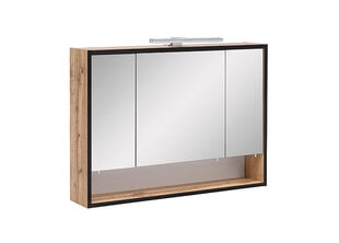 Зеркальный шкаф с LED-освещением Max, дуб цена и информация | Шкафчики для ванной | kaup24.ee