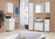 Alumine vannitoakapp 359, valge hind ja info | Vannitoakapid | kaup24.ee