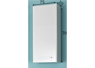 Верхний шкаф в ванную 316 белый глянцевый цена и информация | Шкафчики для ванной | kaup24.ee