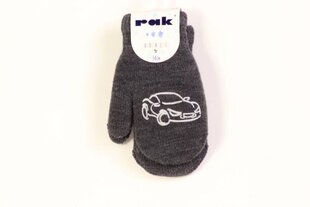 Теплые перчатки с аппликацией для мальчиков, Черный цена и информация | Шапки, перчатки, шарфы для мальчиков | kaup24.ee