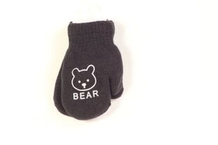 Теплые перчатки с аппликацией для мальчиков, Серый цена и информация | Шапки, перчатки, шарфы для мальчиков | kaup24.ee