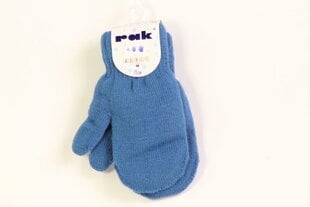 Теплые перчатки с аппликацией для мальчиков, Синий цена и информация | Шапки, перчатки, шарфы для мальчиков | kaup24.ee